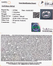 4.90 Ratti Natural White Topaz with Govt Lab Certificate (1665)